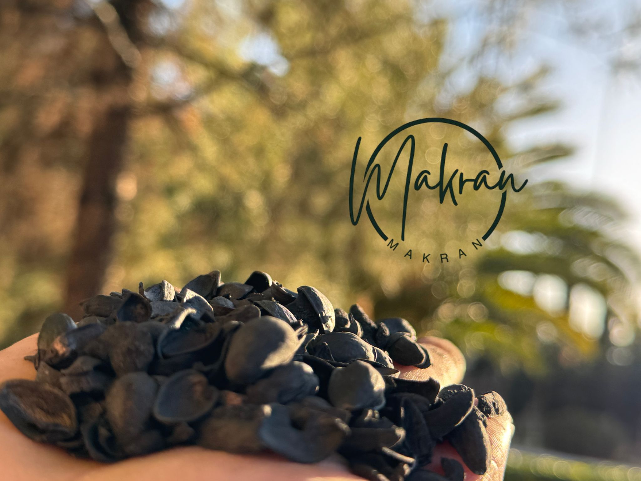 How to Properly Use Pistachio Shell Carbon in Agriculture